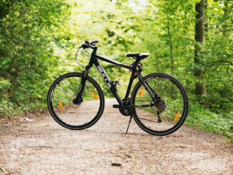 black and white hardtail bike on brown road between trees