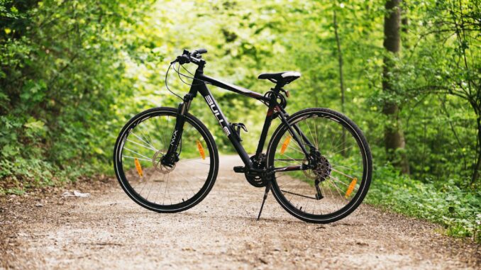 black and white hardtail bike on brown road between trees